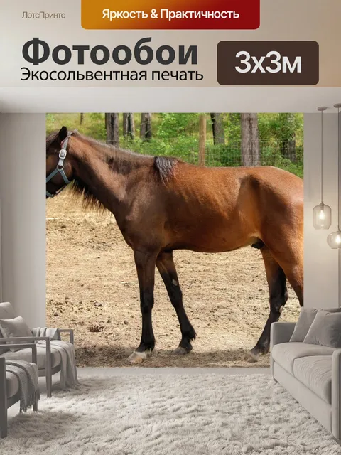 Фотообои Верховая Карие 2