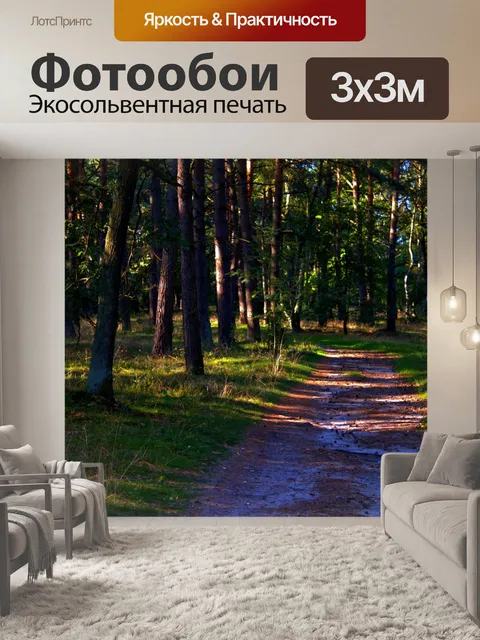 Фотообои Лес фон