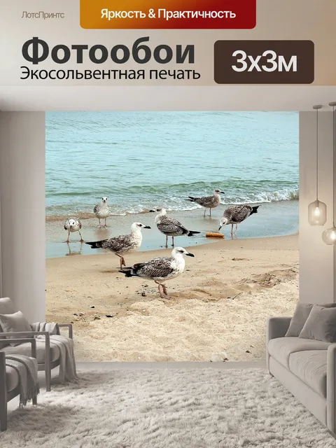 Фотообои Чайка