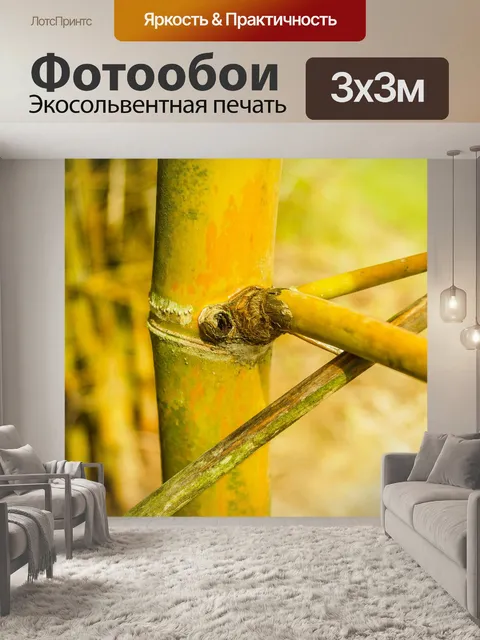 Фотообои Бамбуковый лес природа фон