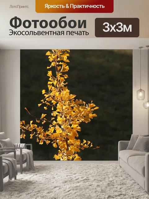 Фотообои Гинкго