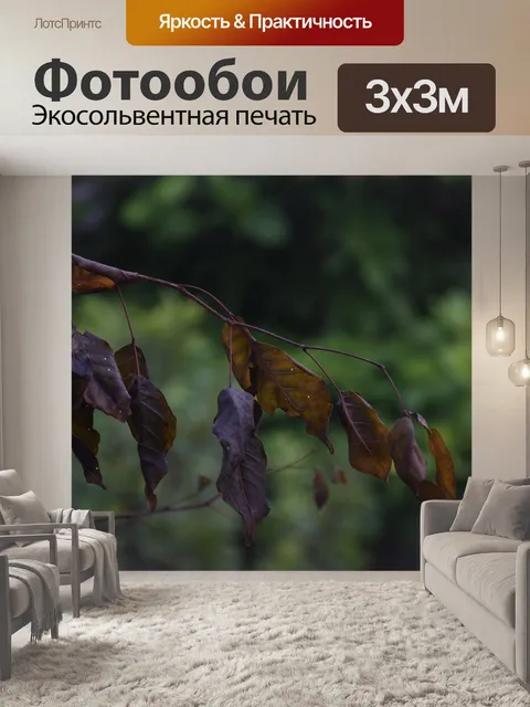 Фотообои Листья
