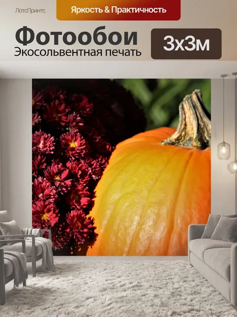 Фотообои Тыква и красные цветы крупным планом