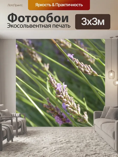 Фотообои Лаванда