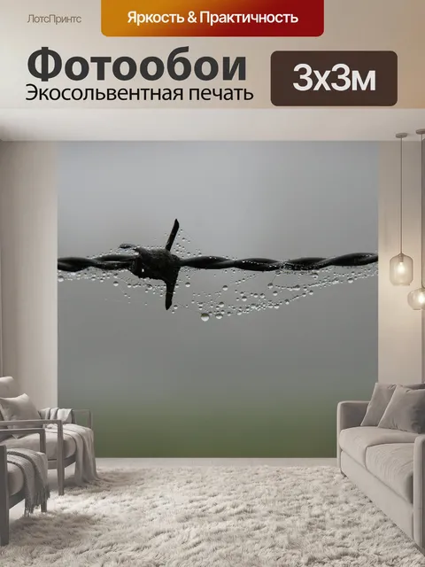 Фотообои Туман