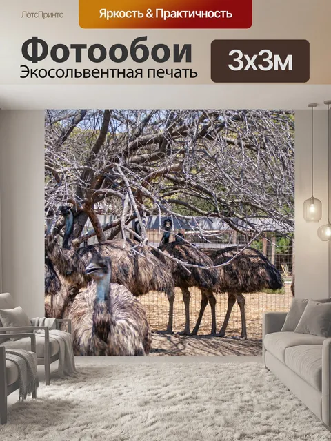 Фотообои Эмус под деревом