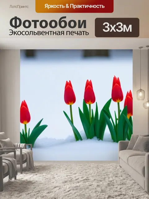 Фотообои тюльпаны в весеннем снегу