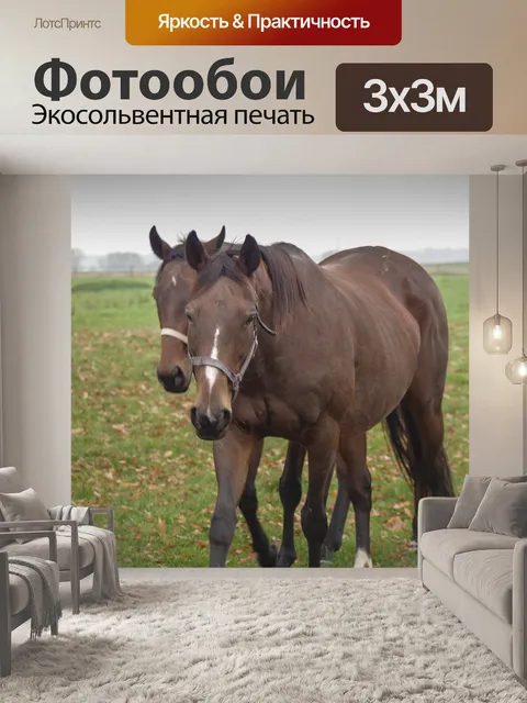Фотообои Лошади