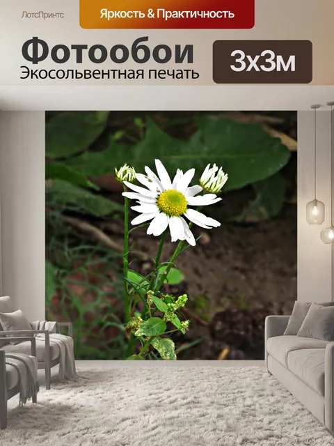 Фотообои Цветок
