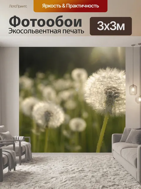 Фотообои Одуванчики