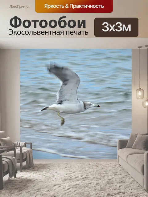 Фотообои Животное