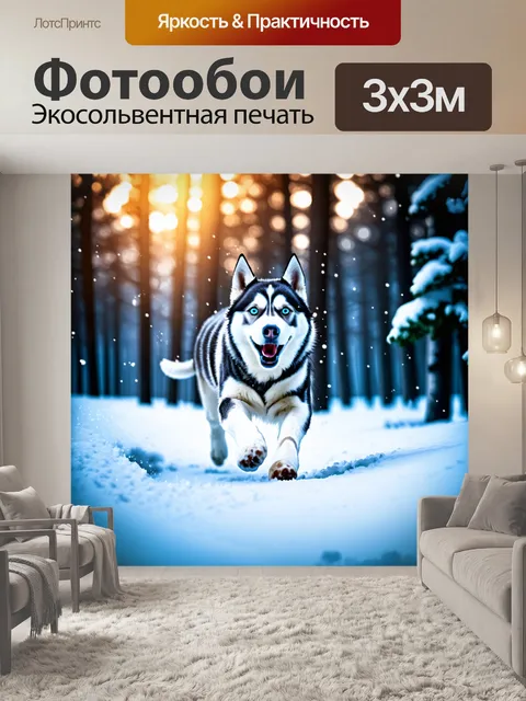 Фотообои Хаски бежит по глубокому снегу в зимнем лесу