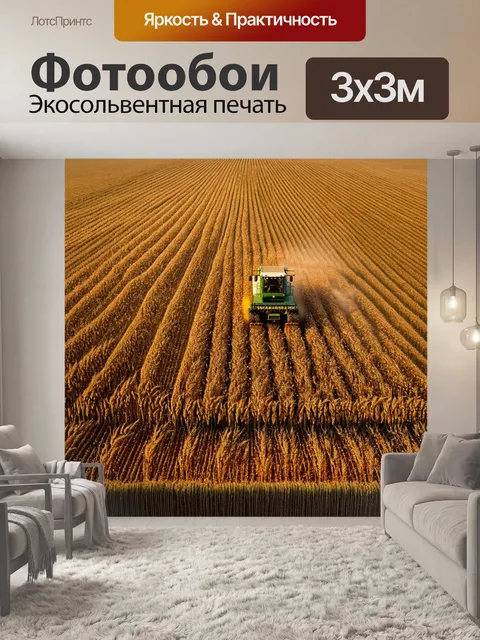 Фотообои поле с пшеницей вечернее время