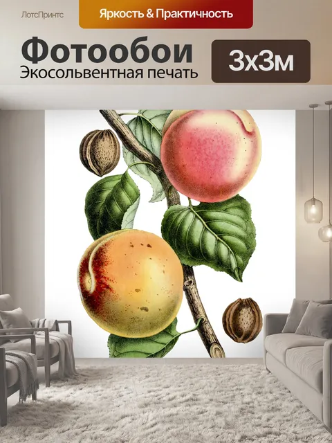 Фотообои Персиковый фрукт винтажное искусство