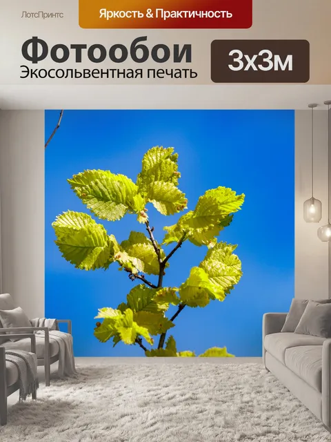 Фотообои весна