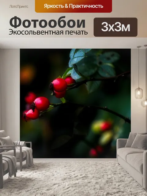 Фотообои Ягоды