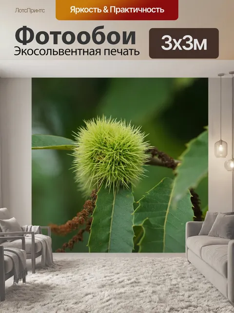 Фотообои каштан