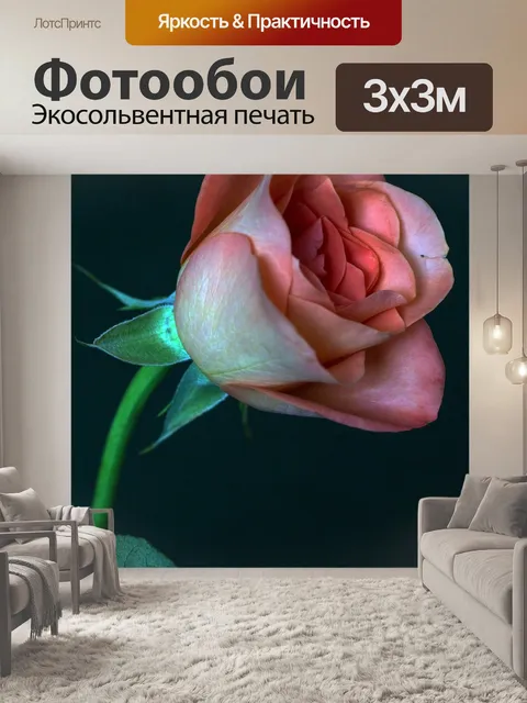 Фотообои Роза