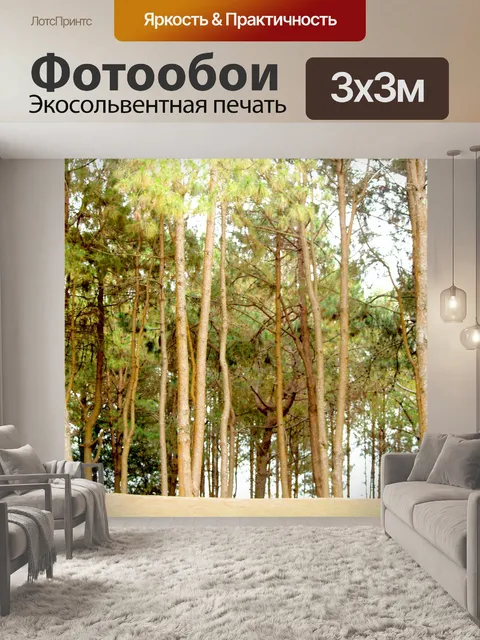 Фотообои Сосновый лес