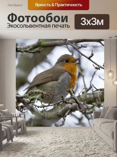 Фотообои Робин Эритакус рубекула