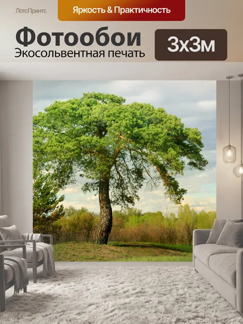 Фотообои Сосна дерево в поле