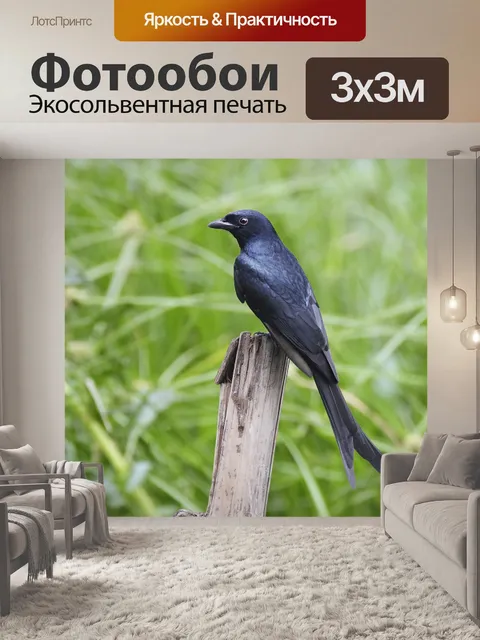 Фотообои Чернить