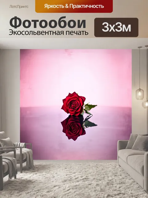Фотообои минималистическое изображение одиночной розы на зеркальной поверхности