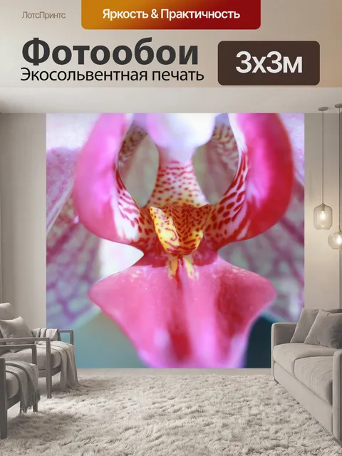 Фотообои Орхидея