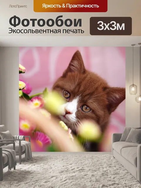 Фотообои Кошка