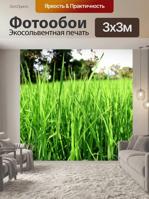 Фотообои Зеленое рисовое поле