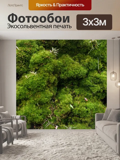 Фотообои Вниз