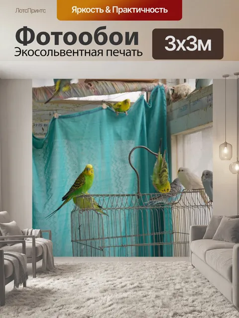 Фотообои Show Off Bird