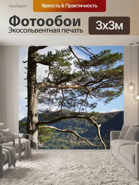 Фотообои Один Pine Tree