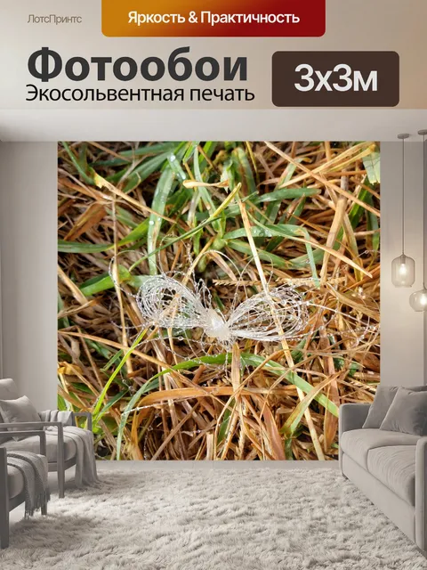 Фотообои Нейлон бабочка