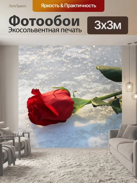 Фотообои Красная роза на льду