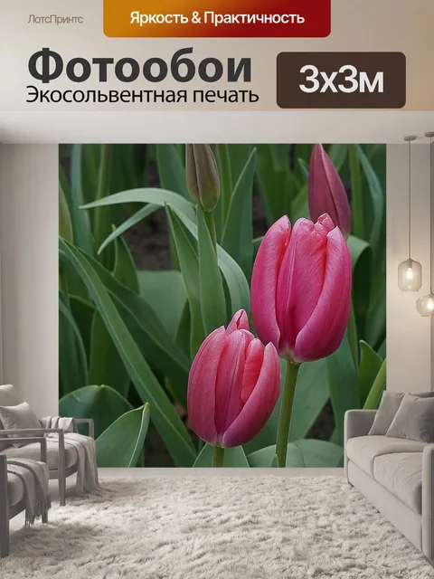 Фотообои Цветок