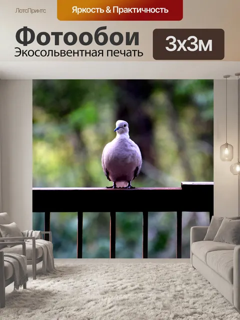 Фотообои Птицы