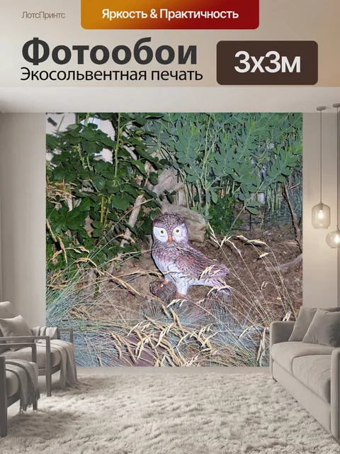 Фотообои Совы в сад