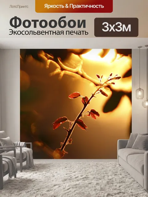 Фотообои Свет