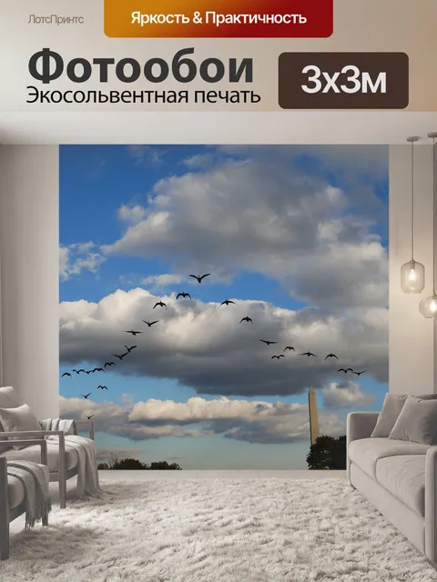 Фотообои Птицы