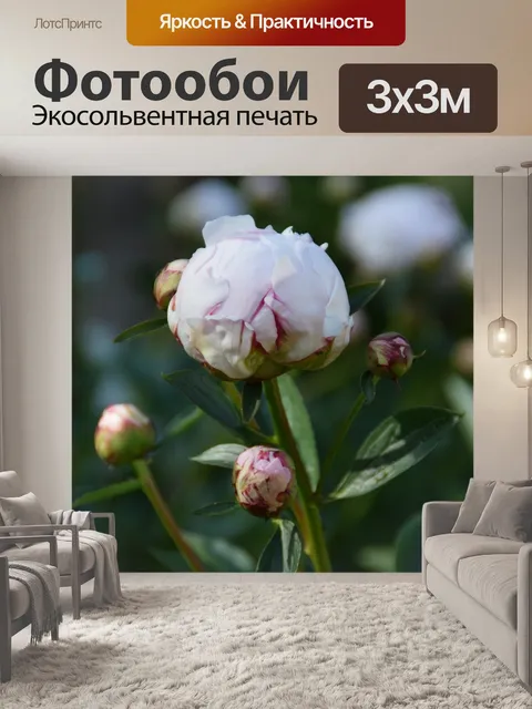 Фотообои Цветок