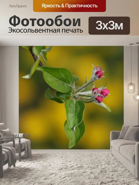 Фотообои Флора