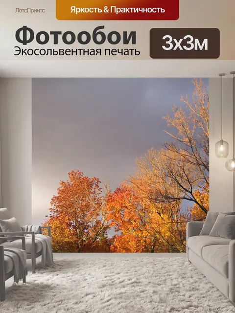 Фотообои Осенние деревья и угрожая Облачность