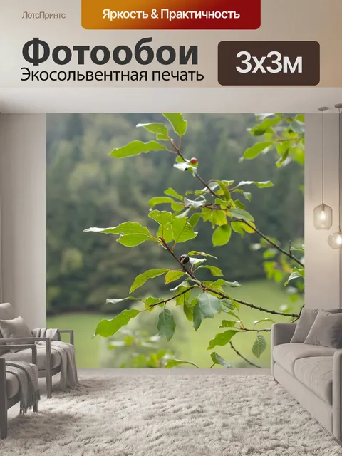 Фотообои Листья