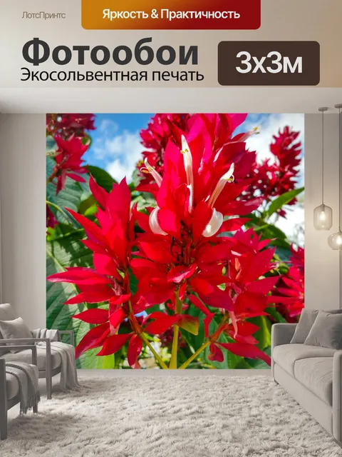 Фотообои красные тропические цветы