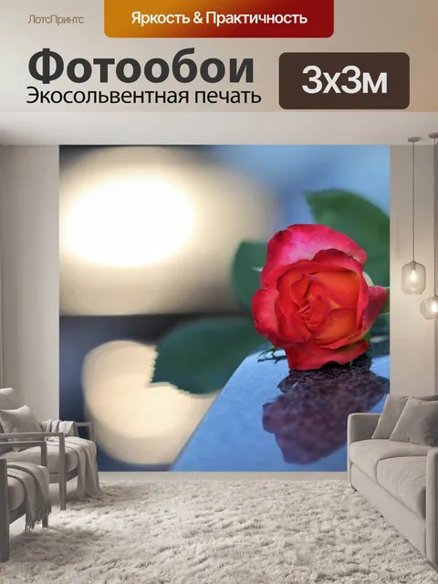 Фотообои Красная желтая роза