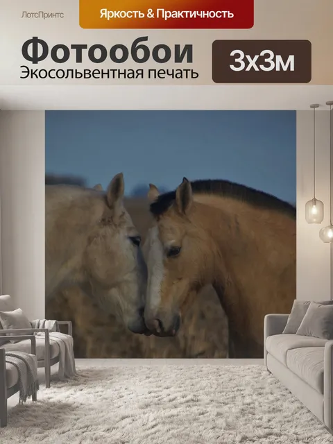 Фотообои Лошади