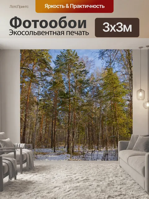 Фотообои Лес