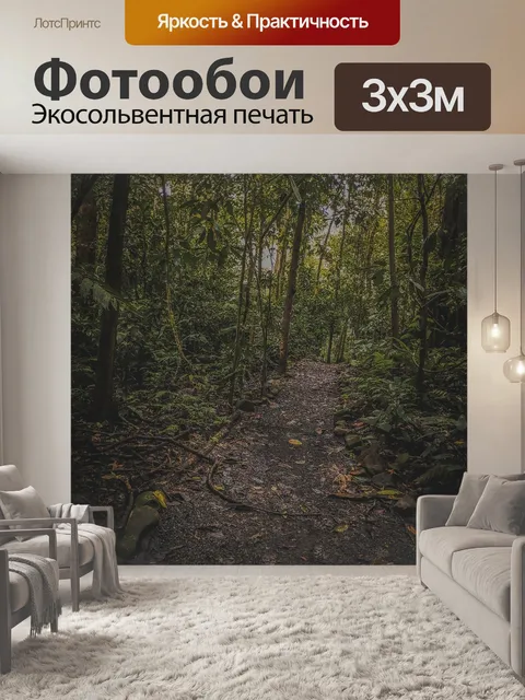 Фотообои Лес