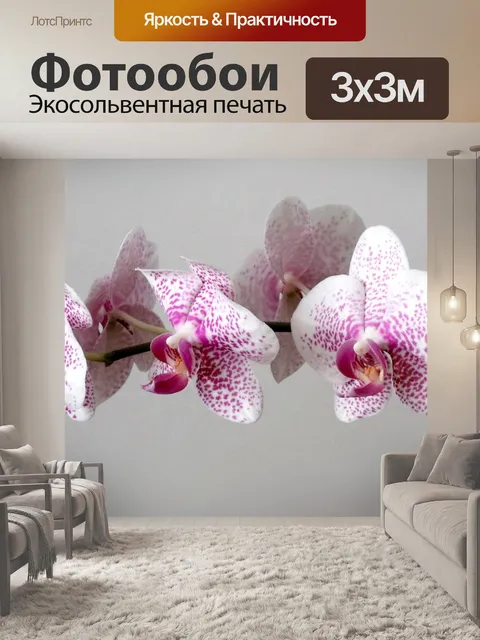Фотообои Орхидея